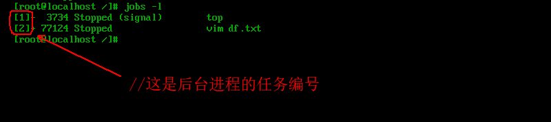 linux怎么查看進程？linux查看和管理進程命令方法