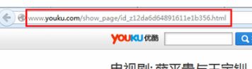 碩鼠flv下載器