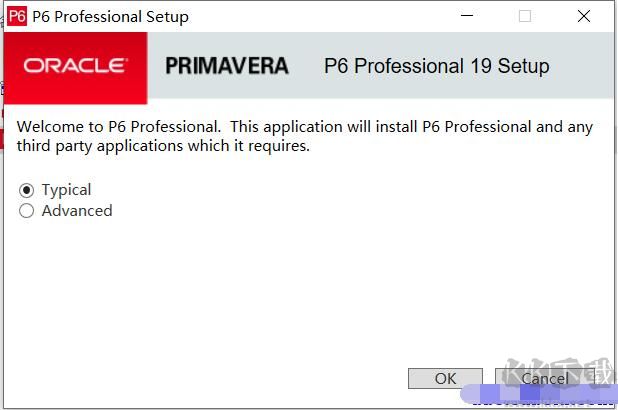 Primavera P6(項目管理軟件)
