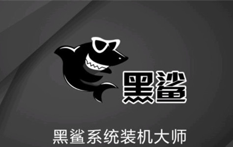 黑鯊裝機大師2021官方下載