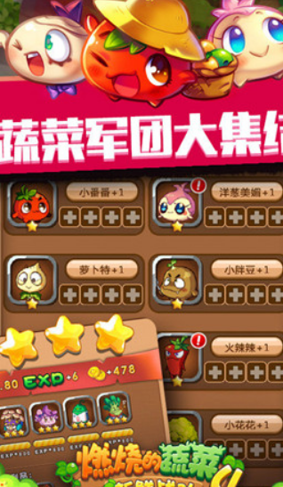 燃燒的蔬菜4新鮮戰(zhàn)隊(duì)