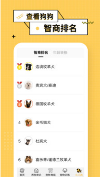 狗語翻譯器APP