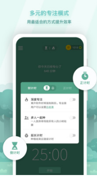 Forest專注森林