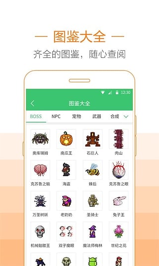 泰拉瑞亞助手