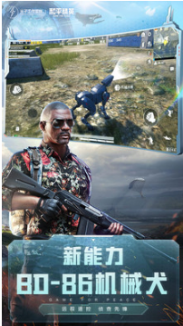 和平精英