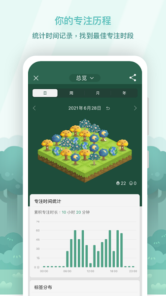 Forest專注森林