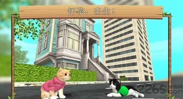 貓咪生存模擬器[無限金幣]