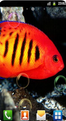 水族館動(dòng)態(tài)壁紙