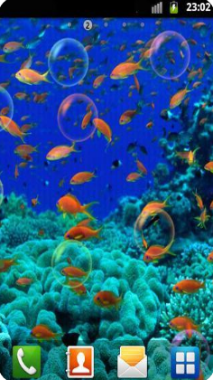 水族館動(dòng)態(tài)壁紙
