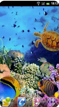 水族館動(dòng)態(tài)壁紙