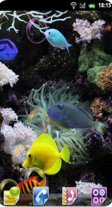 水族館動(dòng)態(tài)壁紙