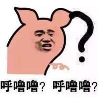 問號表情包?