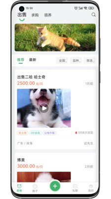 友寵(寵物交易)