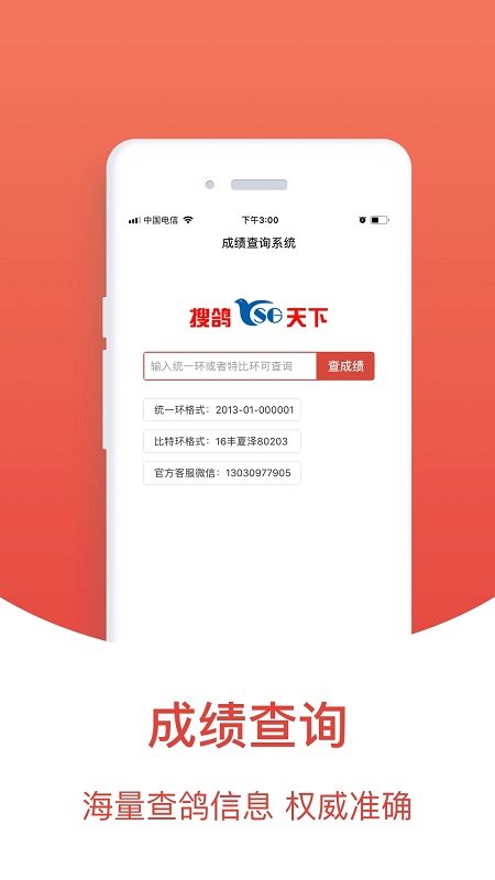賽鴿頭條(搜鴿天下)