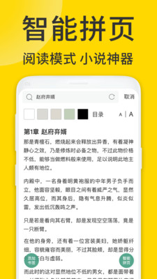 ViaX瀏覽器