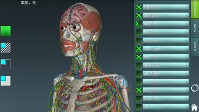 人體解剖學圖集3D