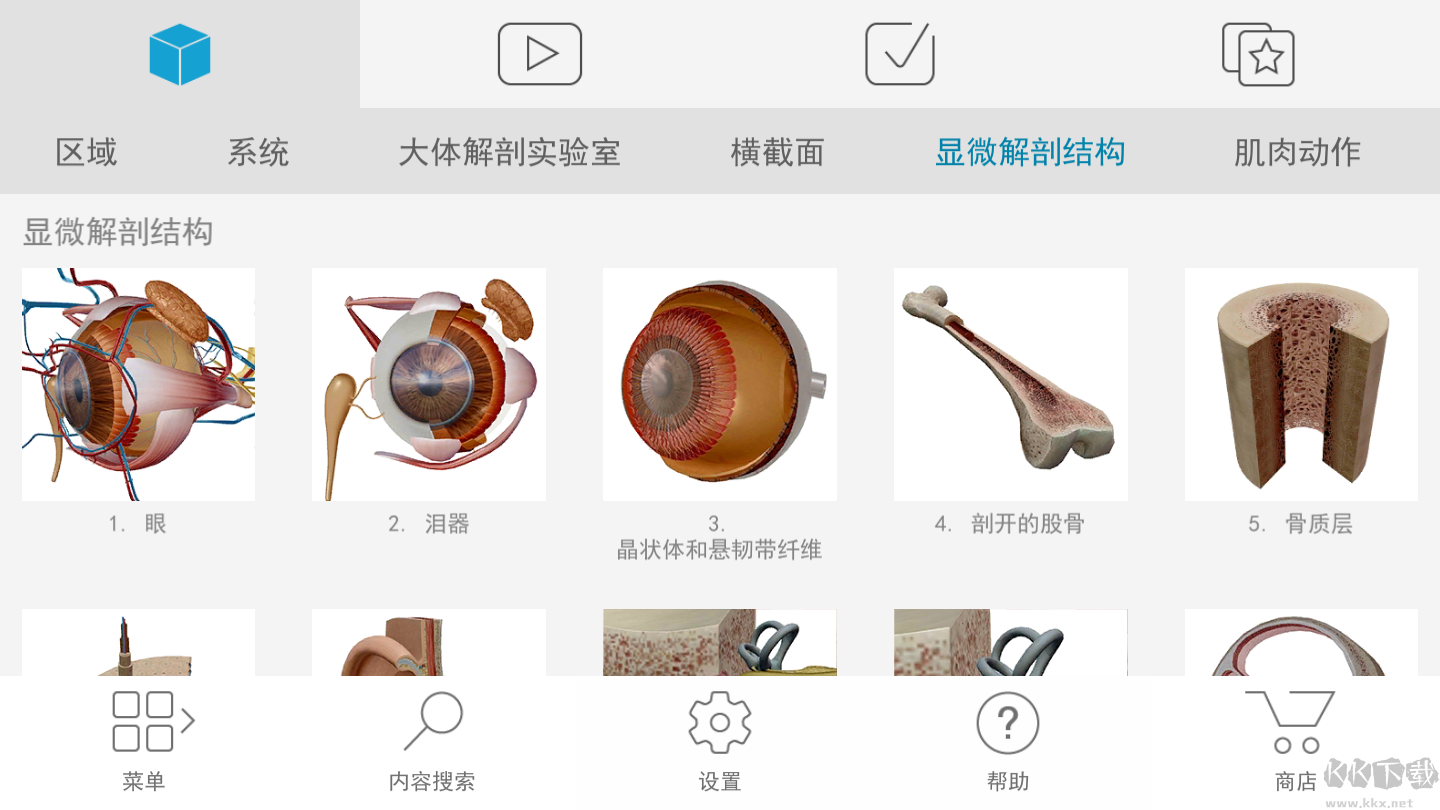 人體解剖學圖譜