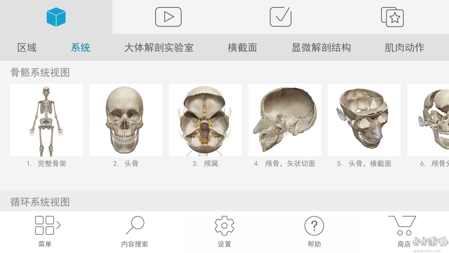 人體解剖學圖譜