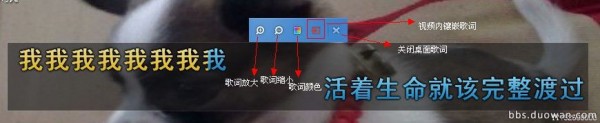 yy伴侶下載