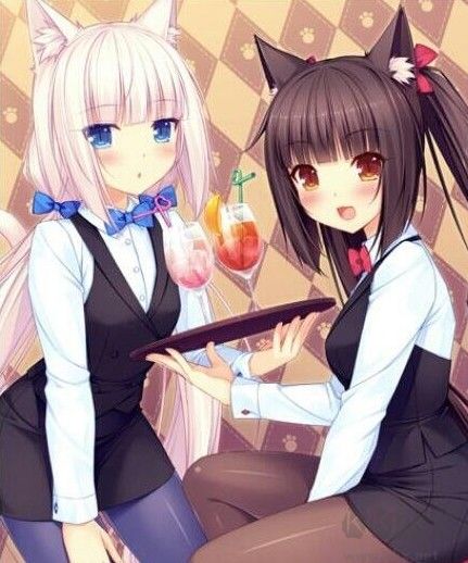 環世界B18貓娘妹汁紳士MOD