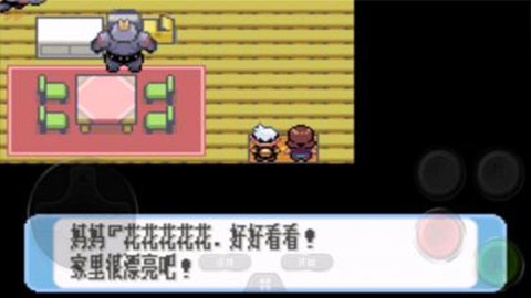 口袋妖怪紅寶石