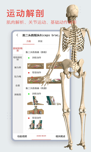 3dbody解剖軟件下載