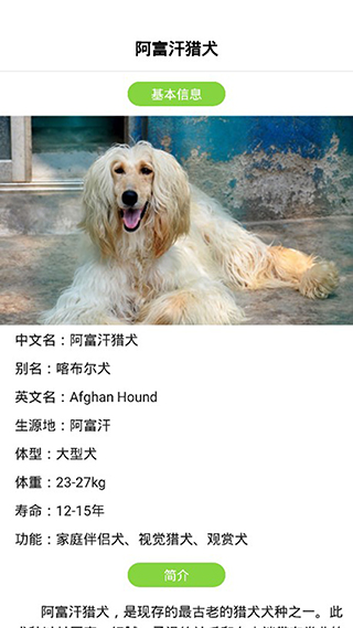 狗語翻譯器APP