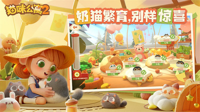 貓咪公寓2破解版