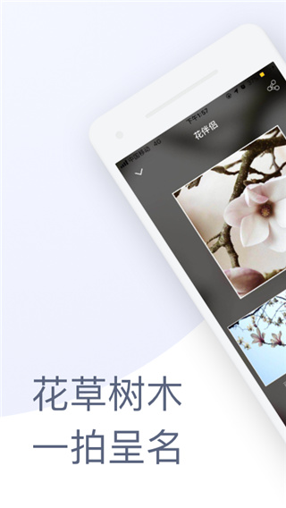 花伴侶(拍照識花)
