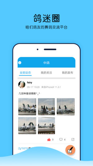 中鴿網直播平臺