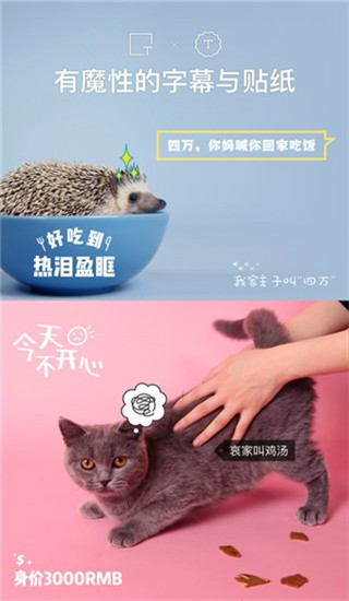 貓餅APP