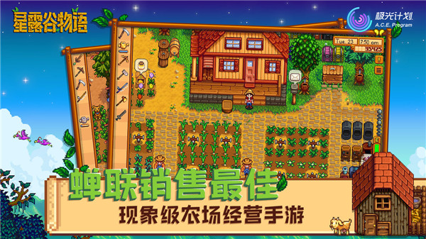 星露谷物語人物美化
