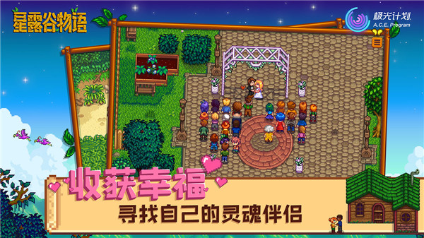 星露谷物語人物美化