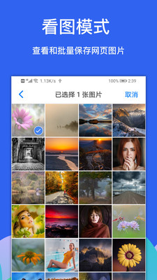 Alook瀏覽器安卓版
