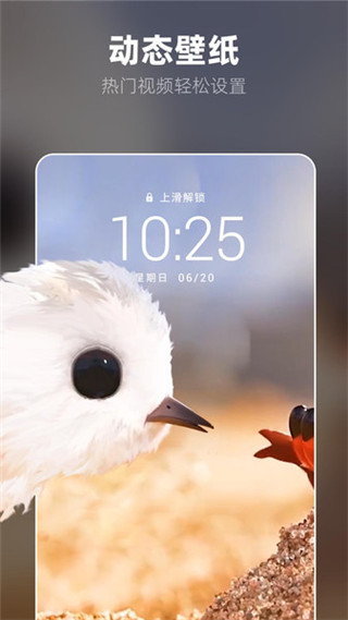 奇妙P圖APP