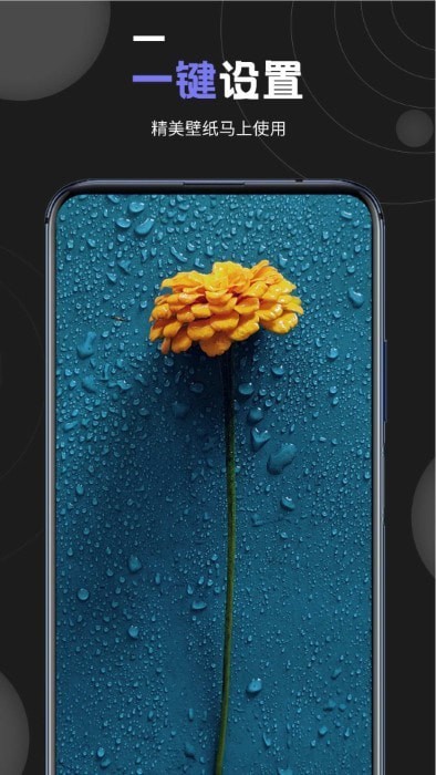 我的壁紙APP