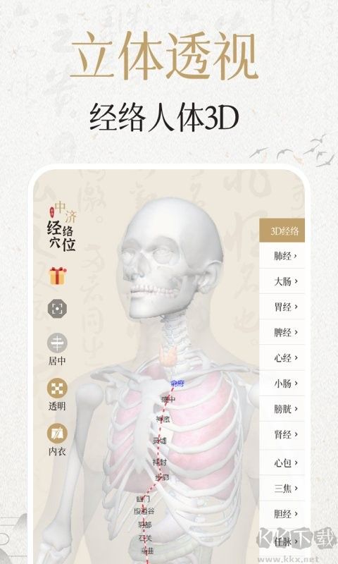 中濟經絡穴位App手機版