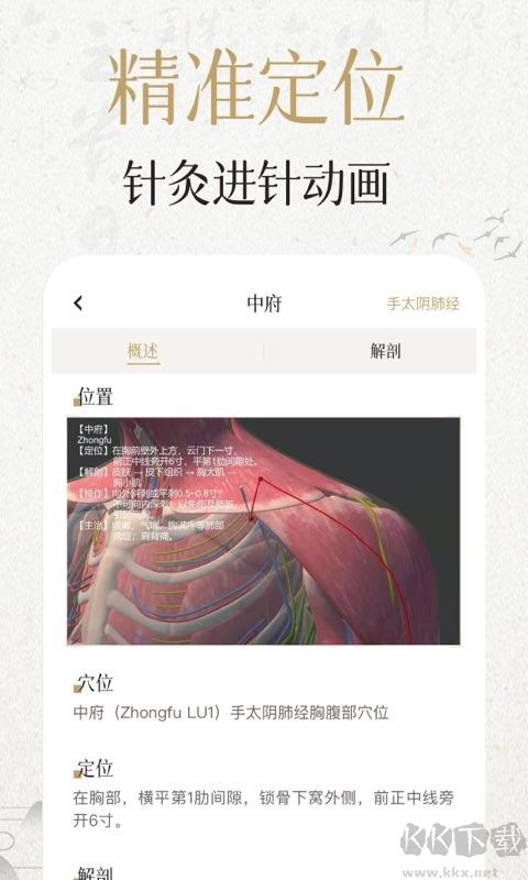 中濟經絡穴位App手機版