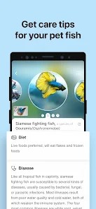 ai拍照識別?魚安卓最新版