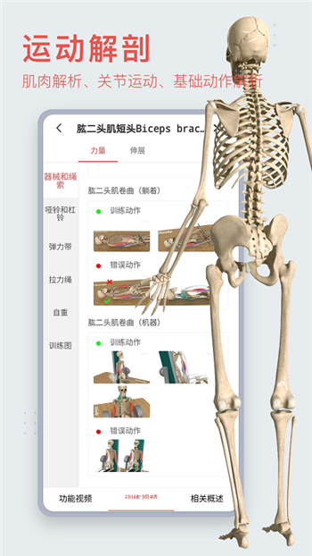 3Dbody解剖解鎖會員版