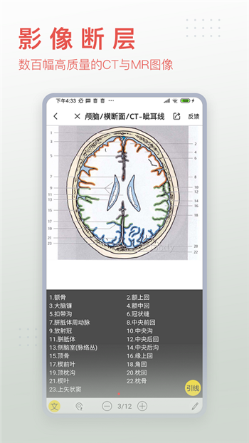 3Dbody解剖解鎖會員版