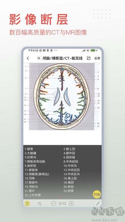 3Dbody2023免費使用