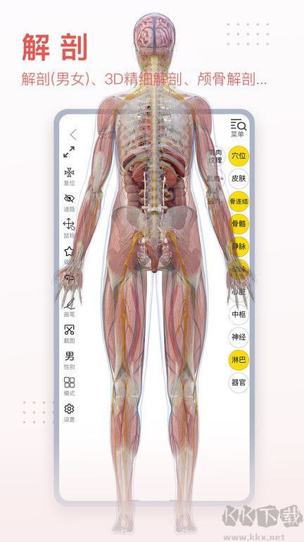 3Dbody2023免費使用