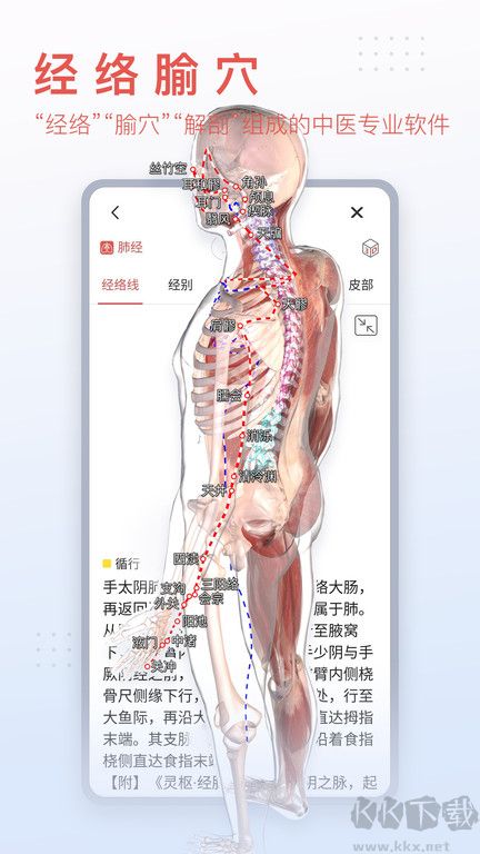 3Dbody2023免費使用