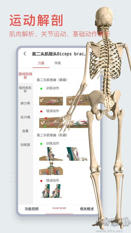 3Dbody2023免費使用