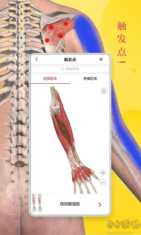 3Dbody2023免費使用