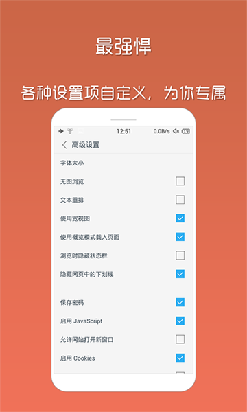 Via瀏覽器國內版(支持調用IDM)