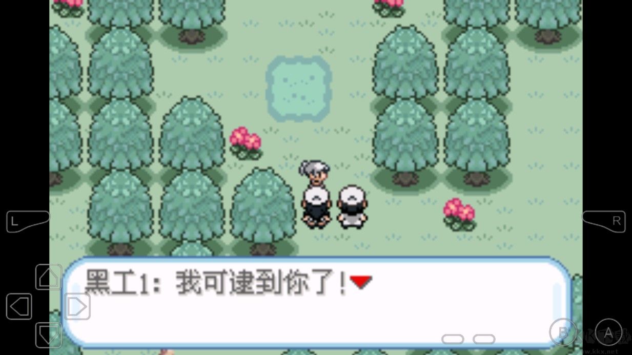 口袋妖怪無名內置修改器版