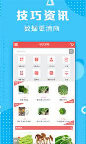 六寶典最新版