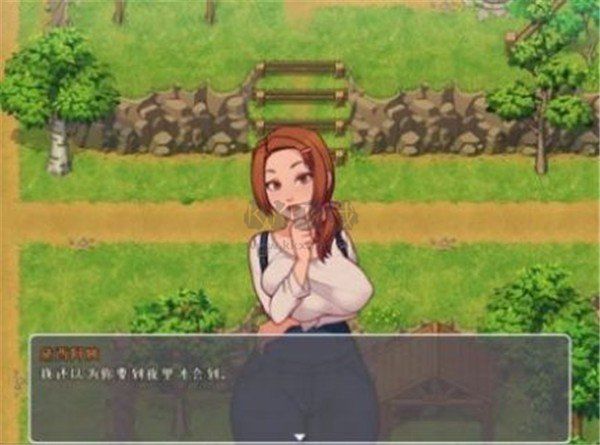 鄉村生活桃子漢化移植版
